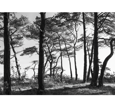 Papel pintado bosque bosque de pinos tinta - TenVinilo