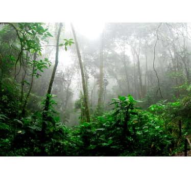 Papel pintado salón paisaje hojas tropicales variadas - TenVinilo