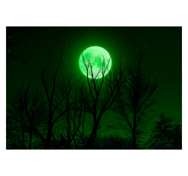 Fotomural fantasía silueta musical iluminada por la luna - TenVinilo
