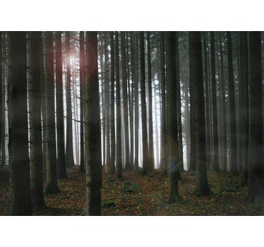 Papel pintado paisaje bosque conífero - TenVinilo