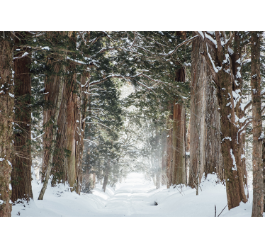 Fotomural bosque árboles forestales de invierno - TenVinilo