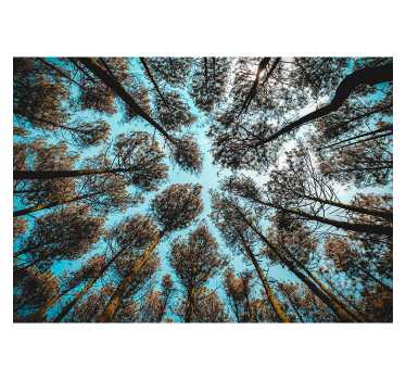 Fotomural paisaje de árboles para salón - TenVinilo