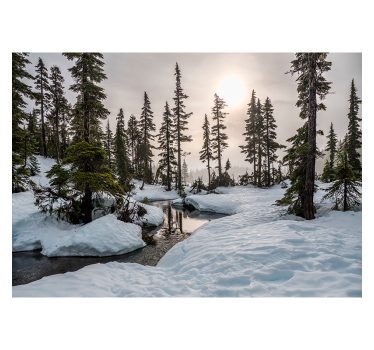 Papel pintado salón paisaje nevado con sol de invierno - TenVinilo