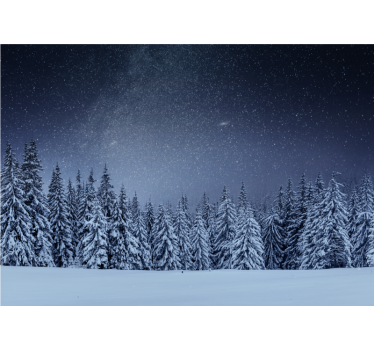 Fotomural naturaleza paisaje de pinos nevados - TenVinilo