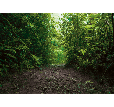 Fotomural naturaleza sendero verde vibrante - TenVinilo