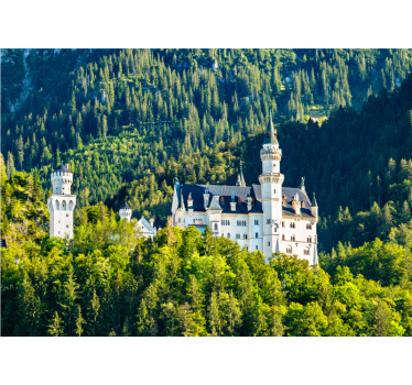 Fotomural ciudad vista del castillo neuschwanstein - TenVinilo