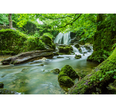 Fotomural naturaleza arroyo boscoso tranquilo - TenVinilo