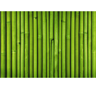 Fotomural bambú tallo de bambú verde - TenVinilo