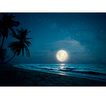 Fotomural naturaleza escena del océano iluminado por la luna - TenVinilo
