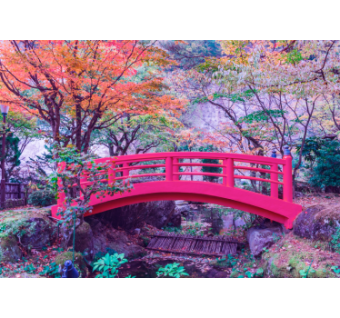 Fotomural bosque arco del jardín tranquilo - TenVinilo