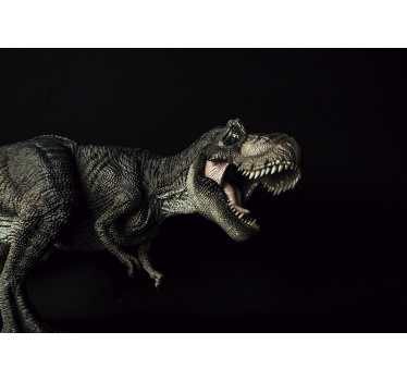 Fotomural animales dinosaurios y plantas - TenVinilo