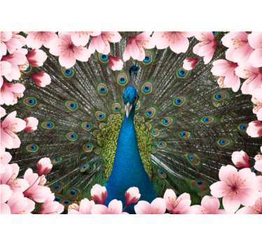 Fotomural animales majestuosa exhibición de pavos reales - TenVinilo