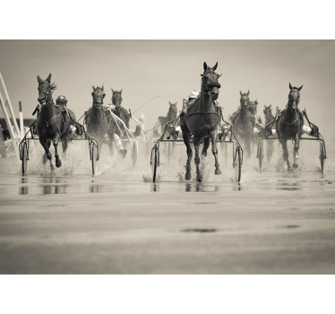 Fotomural animales caballos corriendo juntos - TenVinilo