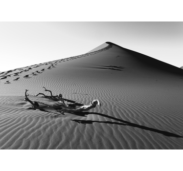 Fotomural desierto huellas en la arena - TenVinilo