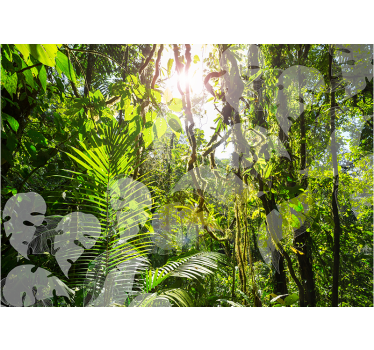 Fotomural naturaleza refugio de exuberante vegetación - TenVinilo