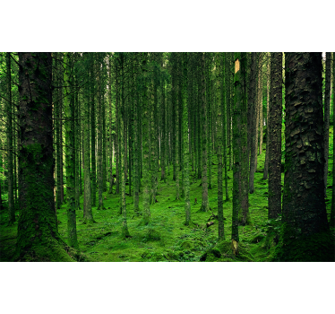 Fotomural bosque bosque verde - TenVinilo