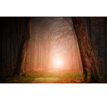 Fotomural bosque misterioso sendero forestal - TenVinilo