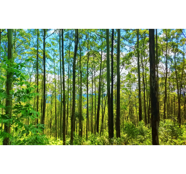 Papel pintado paisaje abedules bosque polaco - TenVinilo