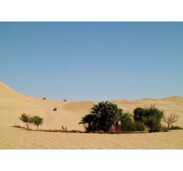 Fotomural desierto oasis de dunas de arena - TenVinilo