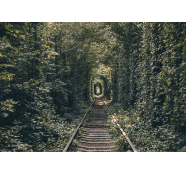 Papel pintado paisaje sendero del túnel forestal - TenVinilo