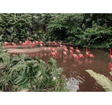 Fotomural animales flamencos junto al agua - TenVinilo