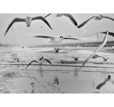 Fotomural animales gaviotas sobre el océano - TenVinilo