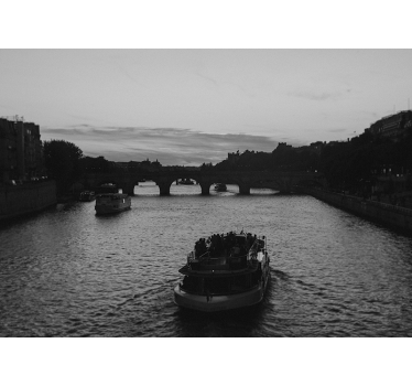 Fotomural ciudad vista del río de parís - TenVinilo