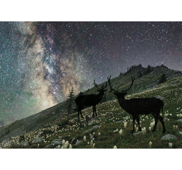 Fotomural bosque ciervos de la noche estrellada - TenVinilo