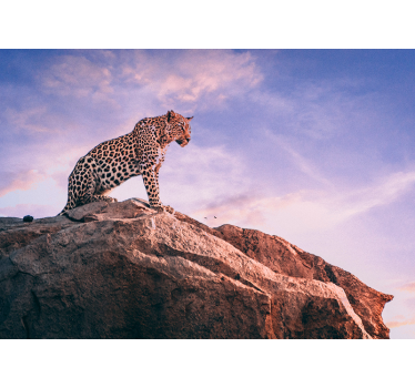 Fotomural animales leopardo en la roca - TenVinilo