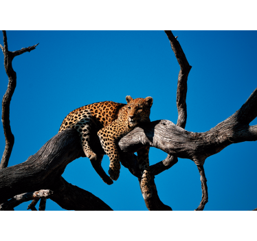 Fotomural animales leopardo en la rama - TenVinilo