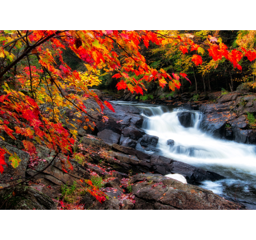 Papel pintado bosque paisaje de cascada en otoño - TenVinilo