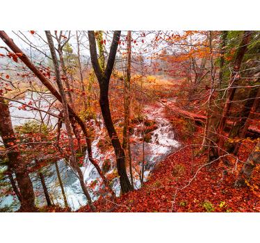 Fotomural naturaleza escena de bosque otoñal - TenVinilo