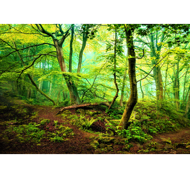 Papel pintado paisaje bosque verde claro - TenVinilo