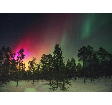 Fotomural naturaleza exhibición de auroras boreales - TenVinilo