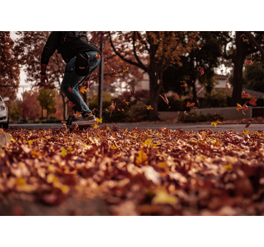 Fotomural ciudad hojas de otoño stkater - TenVinilo