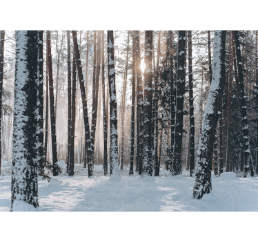 Fotomural bosque bosques de pinos invernales - TenVinilo