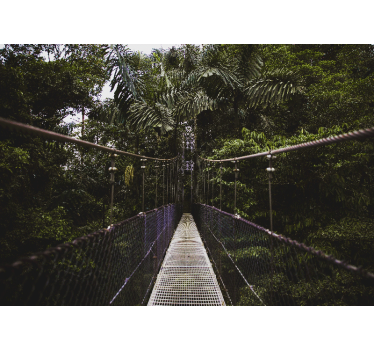 Fotomural naturaleza aventura en puente colgante - TenVinilo