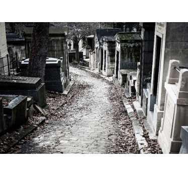 Fotomural ciudad escena del camino del cementerio - TenVinilo