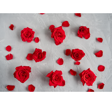 Mural de pared flores pétalos de rosa rojos - TenVinilo