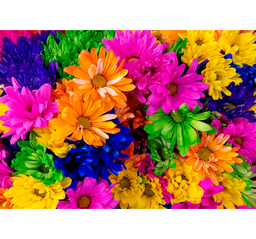 Fotomural de flores Crisantemo colorido - TenVinilo