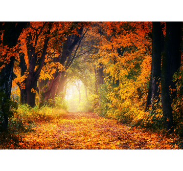 Fotomural bosque Otoño colorido - TenVinilo