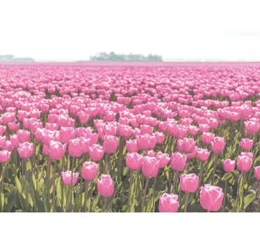 Fotomural de amapolas campos de tulipanes rosas - TenVinilo