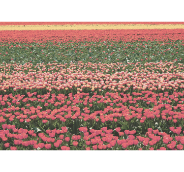 Mural de pared flores paisaje de campo de tulipanes - TenVinilo