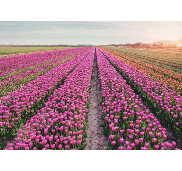 Mural de pared flores paisaje de pradera de tulipanes - TenVinilo