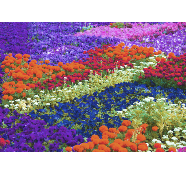Mural de pared flores campo colorido - TenVinilo