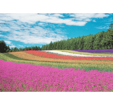 Mural de pared flores paisaje floral vibrante - TenVinilo