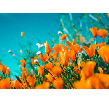 Mural de pared flores amapolas doradas - TenVinilo