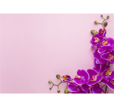 Fotomural de orquídeas arreglo floral de orquídeas - TenVinilo