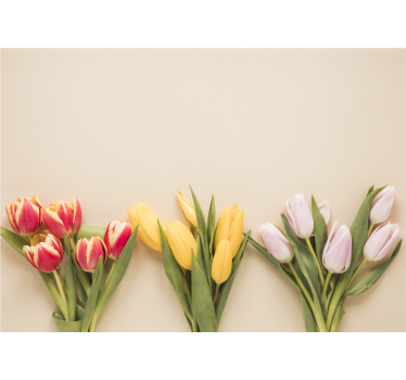 Mural de pared flores arreglo de tulipanes coloridos - TenVinilo