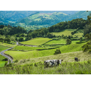 Papel pintado paisaje campos verdes rodantes - TenVinilo